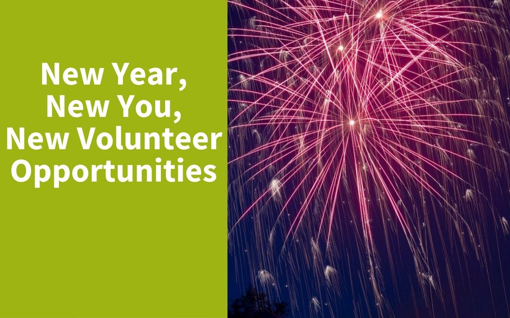 New Year, New You, New Volunteer Opportunities