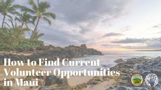 How to Find Current Volunteer Opportunities in Maui