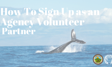 How To Sign Up as an Agency Volunteer Partner