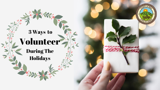 3 Ways You and Your Company Can Volunteer During the Holidays