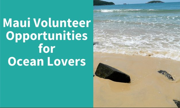 Maui Volunteer Opportunities for Ocean Lovers