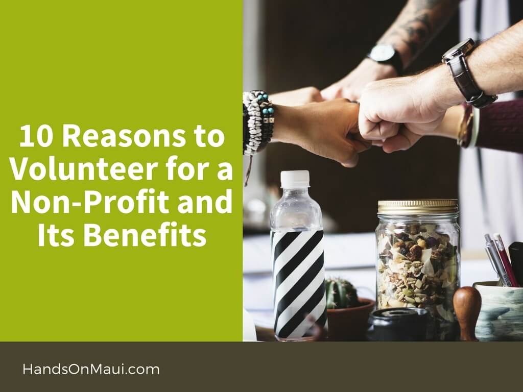 10 Reasons to Volunteer for a NonProfit and Its Benefits HandsOn Maui