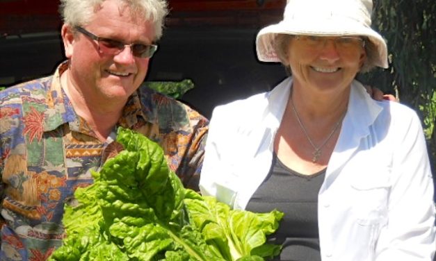 Volunteer Spotlight: Bill & Pam Schwartau