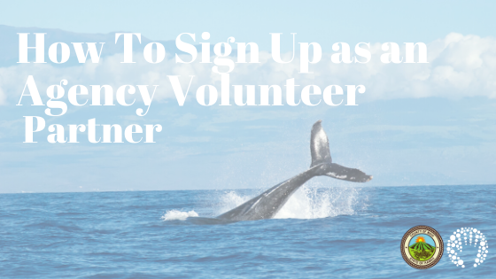 How To Sign Up as an Agency Volunteer Partner
