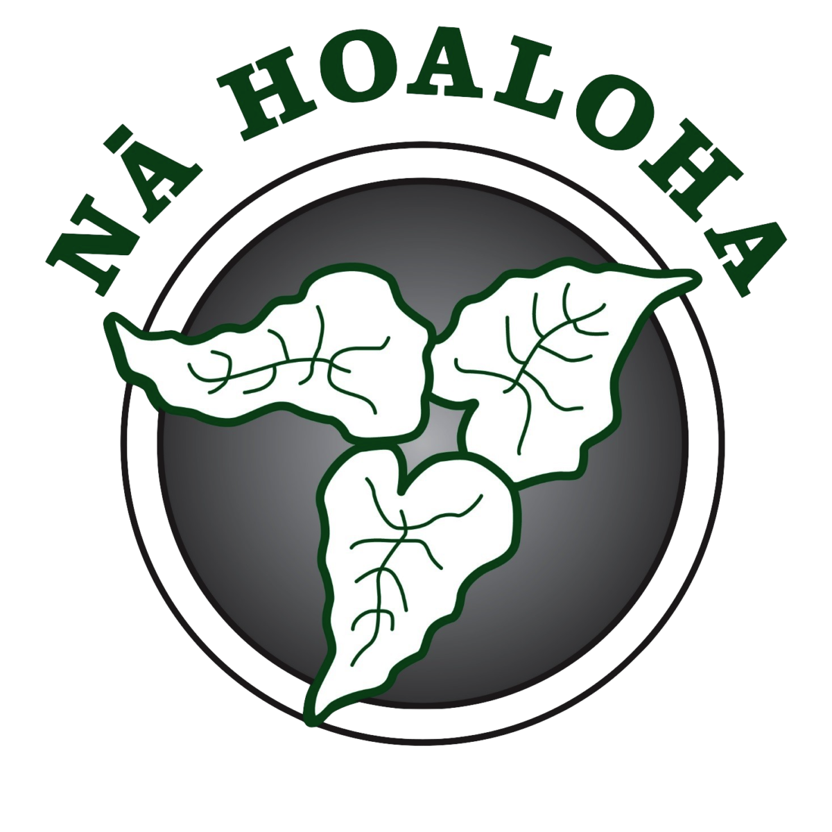 n-hoaloha-helping-the-elderly-during-the-holidays-handson-maui