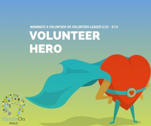 Volunteer Hero Nomination
