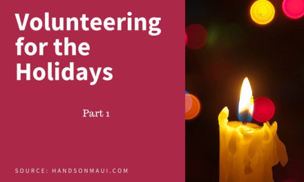 Volunteering for the Holidays – Part 1