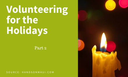 Volunteering for the Holidays – Part 2