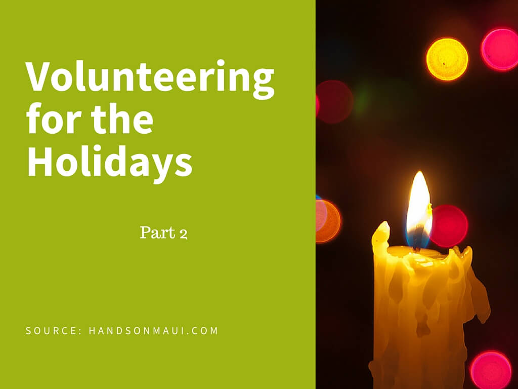 holiday volunteering