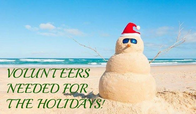 Volunteer for the Holidays