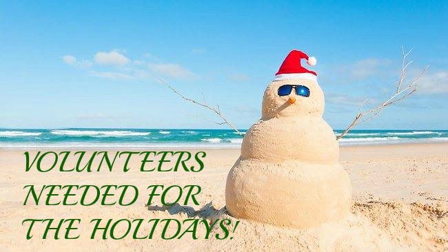 Volunteer for the Holidays